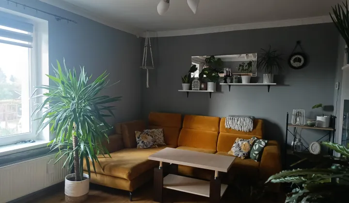 Mieszkanie 2-pokojowe Ługi Ujskie