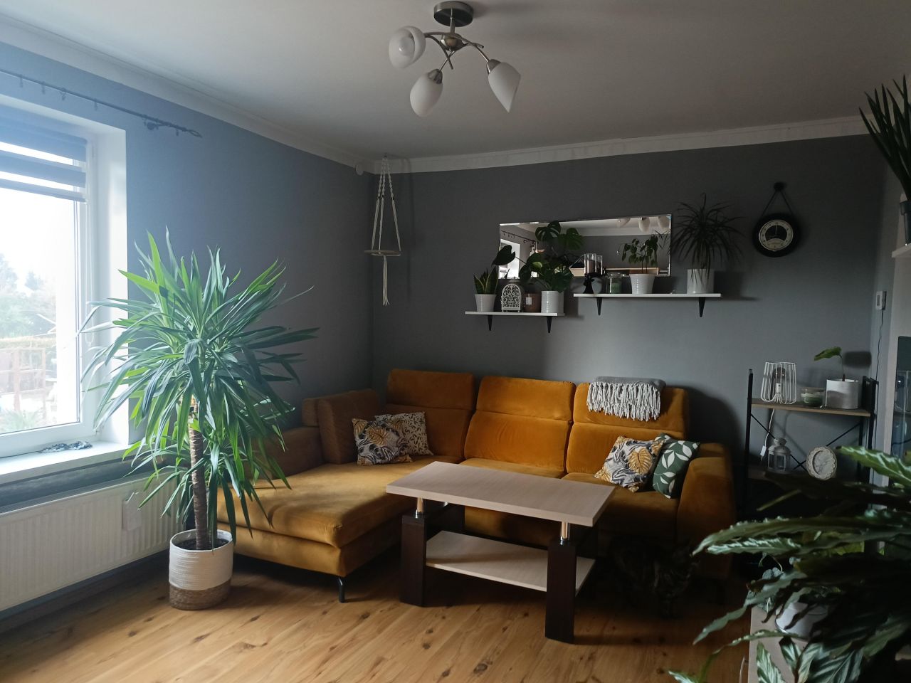 Mieszkanie 2-pokojowe Ługi Ujskie. Zdjęcie 1