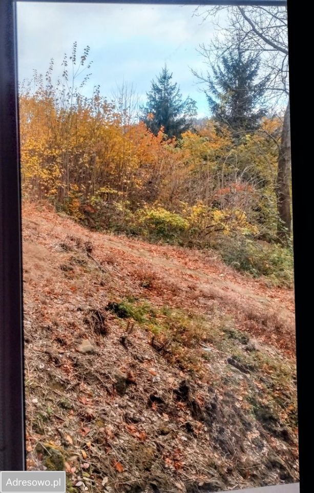 Mieszkanie 2-pokojowe Długopole-Zdrój, ul. Leśna. Zdjęcie 9