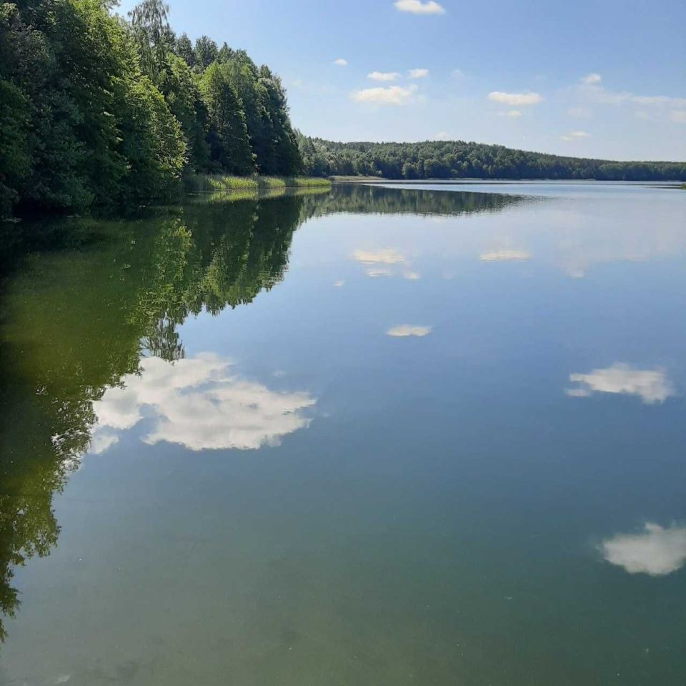 Działka budowlana Żmijewko. Zdjęcie 4
