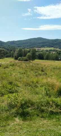 Działka budowlana Wysowa-Zdrój. Zdjęcie 1