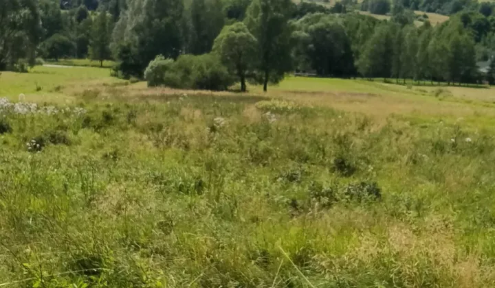 Działka budowlana Wysowa-Zdrój