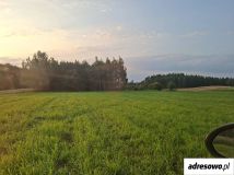 Działka Radziki Duże. Zdjęcie 4