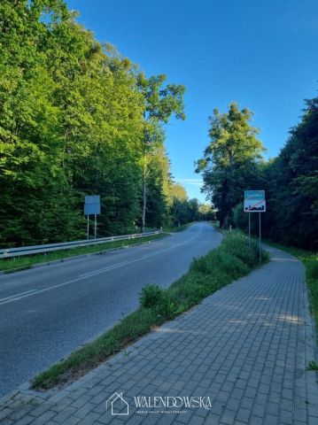 Działka rolna Suchacz. Zdjęcie 3