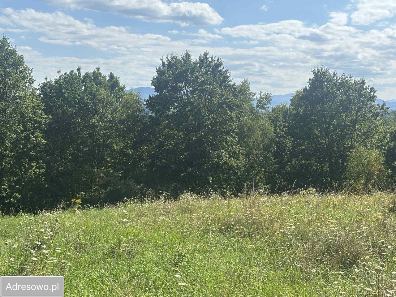 Działka budowlana Nowy Wiśnicz, ul. Jana Matejki. Zdjęcie 2