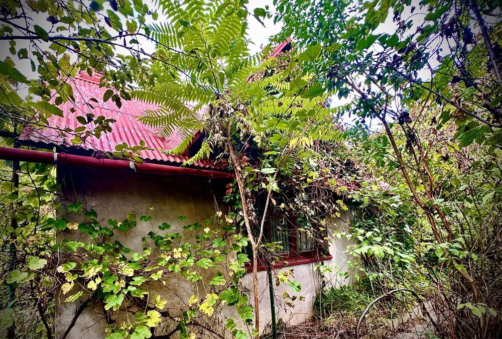 Działka rod Kraków Grzegórzki, ul. Do Przystani. Zdjęcie 8