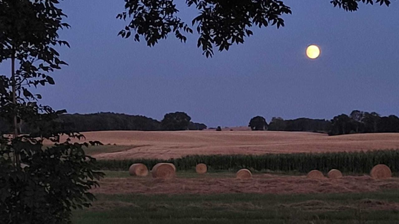 Działka siedliskowa Tolniki Małe. Zdjęcie 5