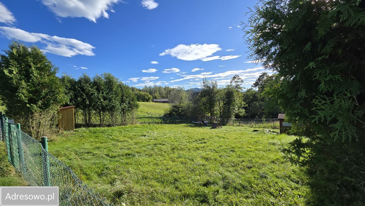 Działka budowlana Kurów Kępa. Zdjęcie 5