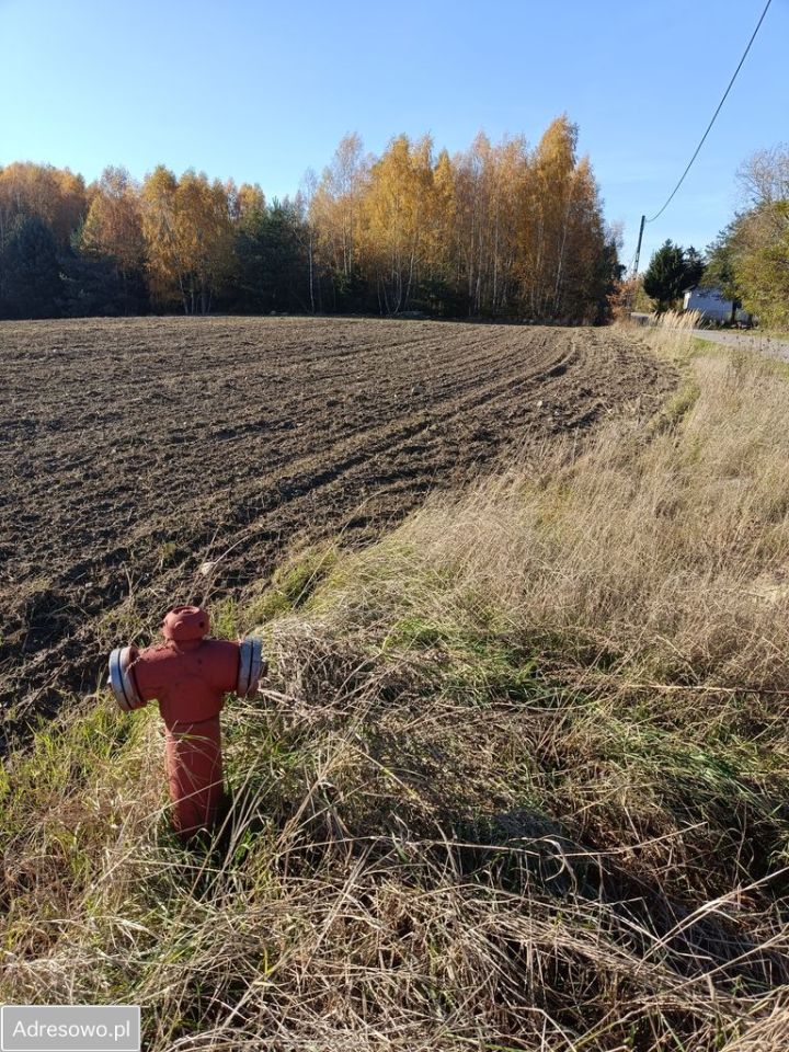 Działka rolno-budowlana Strzembowo. Zdjęcie 4