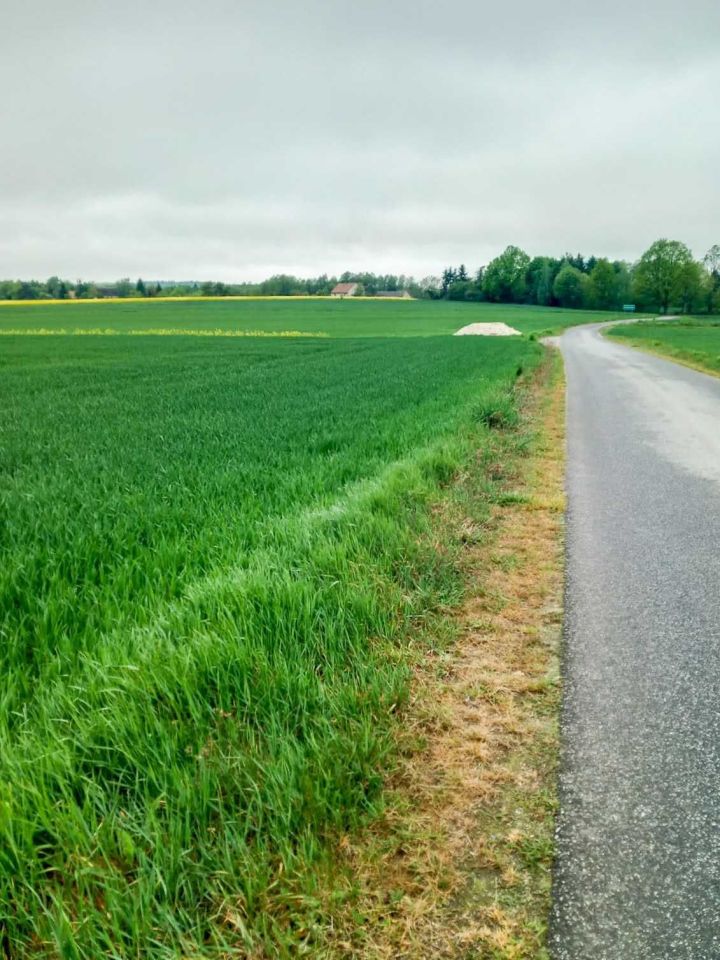 Działka rolna Radziechów. Zdjęcie 2