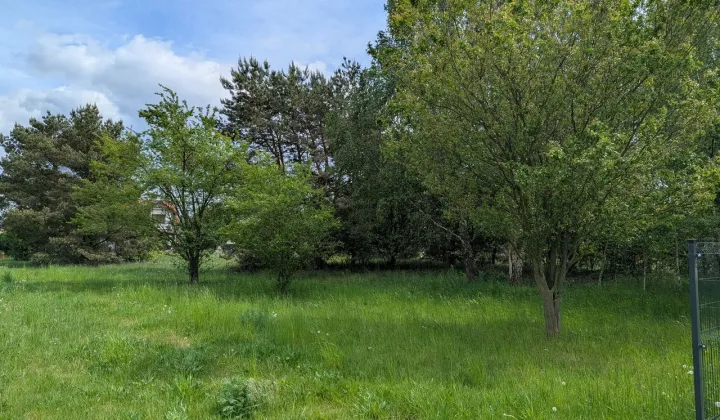 Działka budowlana Sieraków, ul. Dębowa