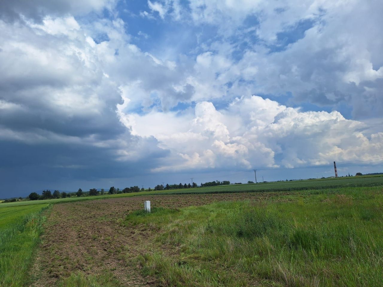 Działka rolno-budowlana Tomkowa. Zdjęcie 3