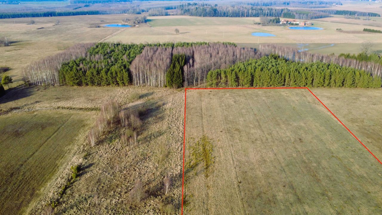 Działka rolno-budowlana Kaszuny. Zdjęcie 2