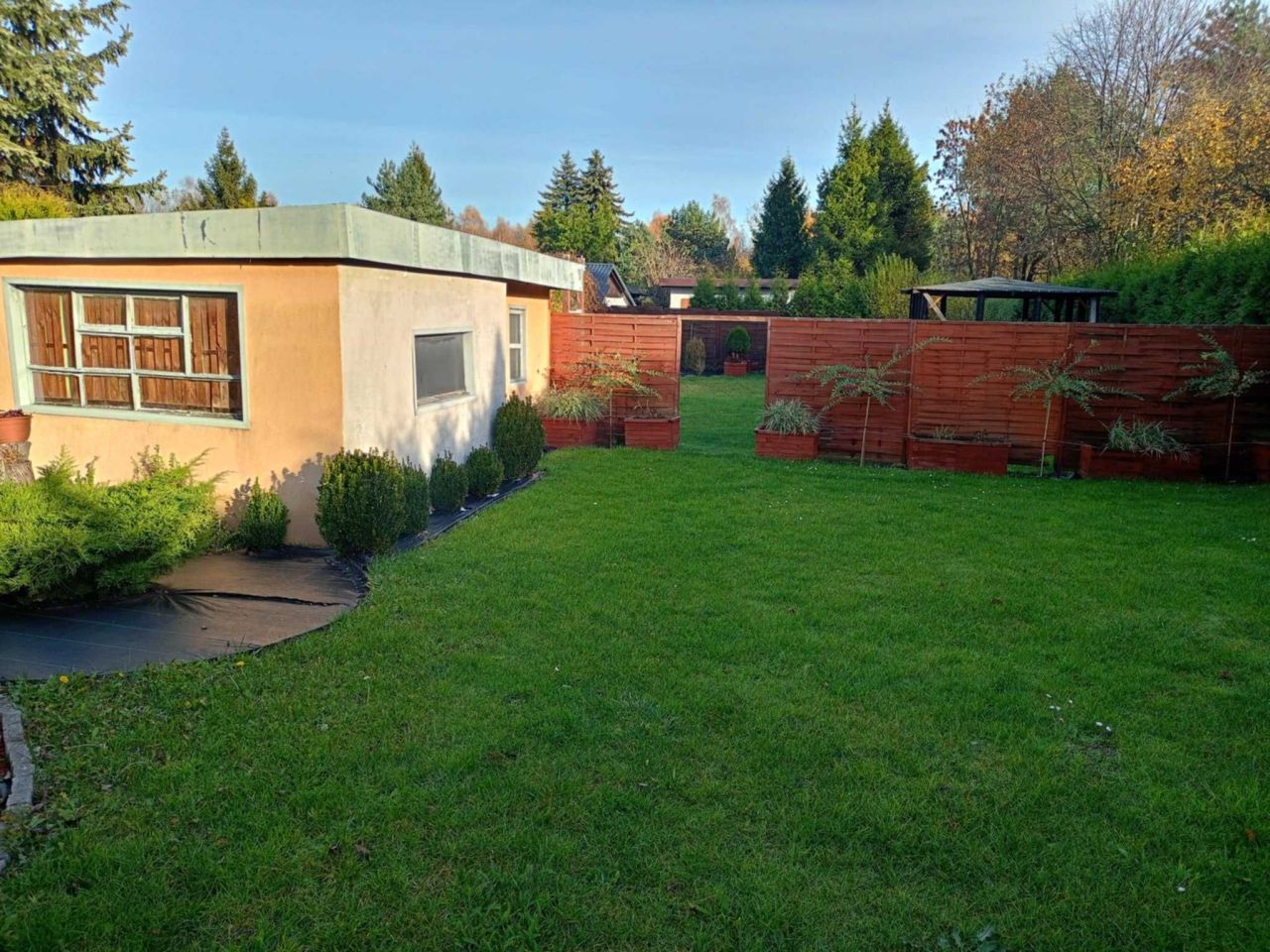 Działka rod Bytom, ul. Siemianowicka. Zdjęcie 2