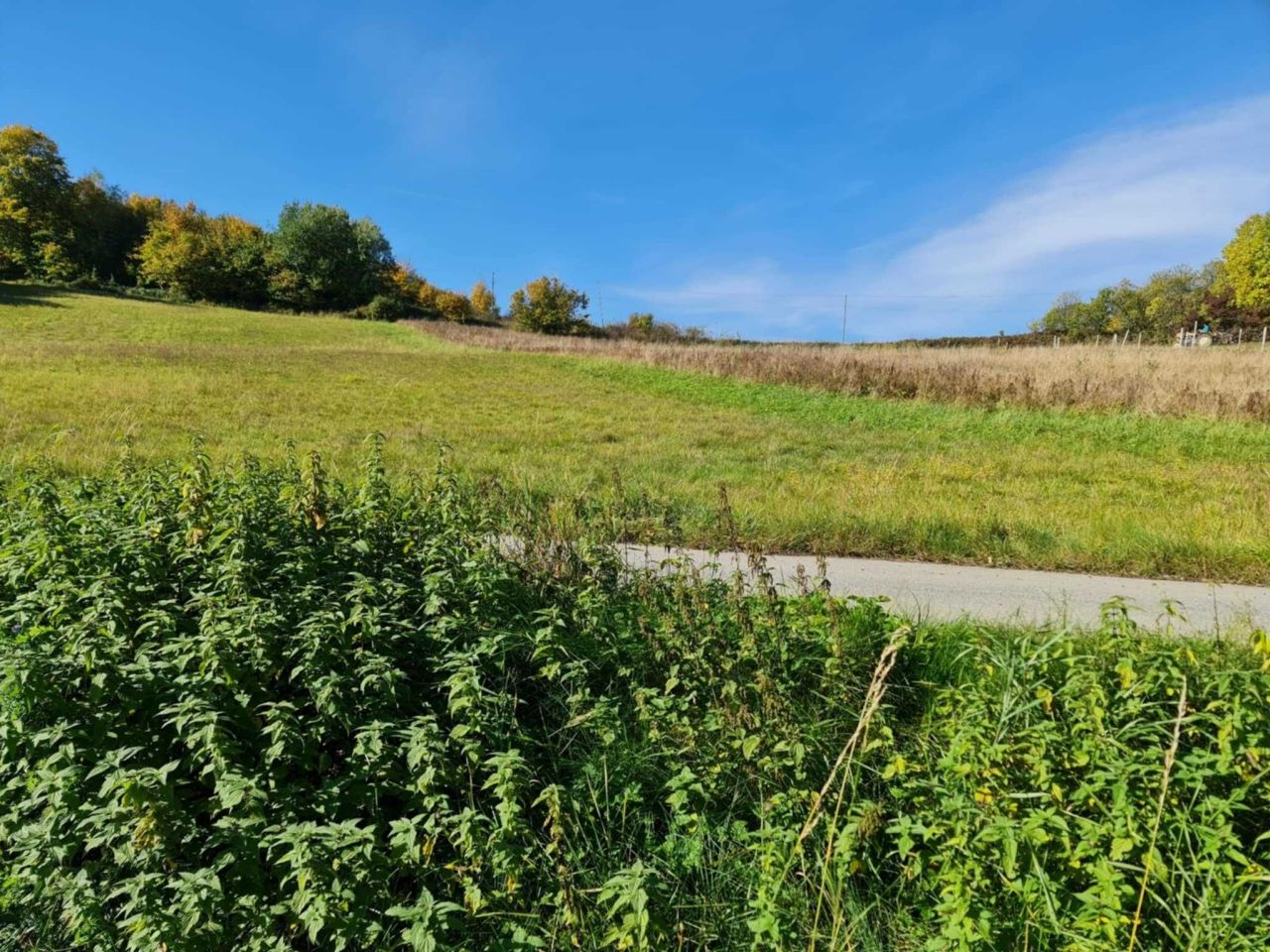 Działka Łosie. Zdjęcie 7