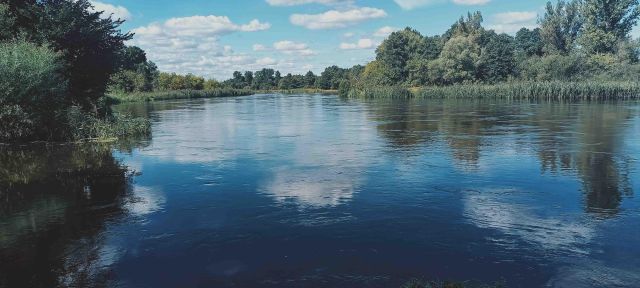 Działka budowlana Brzeźce, ul. Główna. Zdjęcie 39
