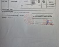 Działka leśna Smyków. Zdjęcie 2