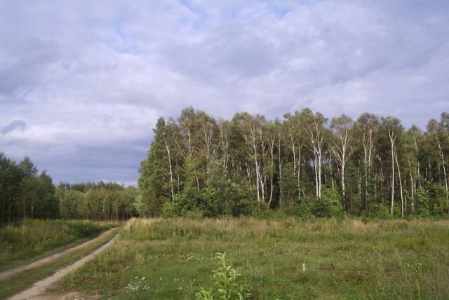 Działka rolno-budowlana Opaleniec. Zdjęcie 1