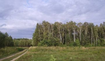 Działka rolno-budowlana Opaleniec