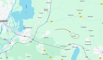 Działka rolna Cisewo
