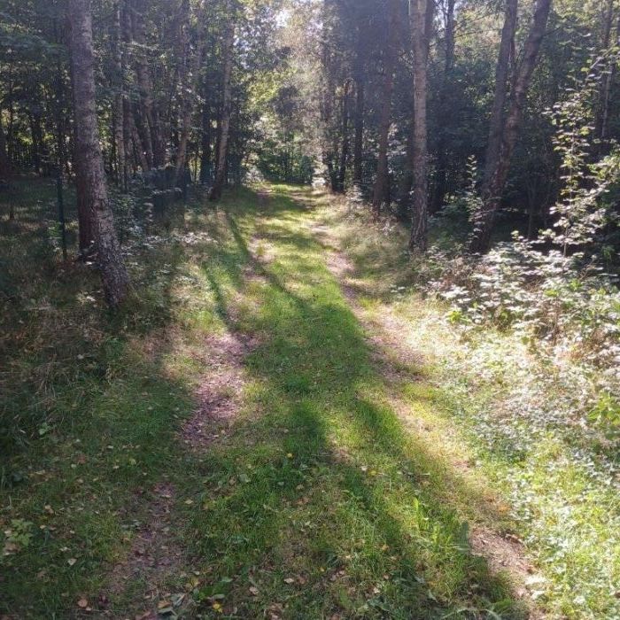 Działka rekreacyjna Lewinko. Zdjęcie 15