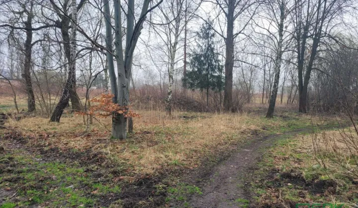 Działka Sosnowiec, ul. Wagowa