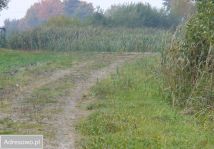 Działka budowlana Łapinóżek. Zdjęcie 4