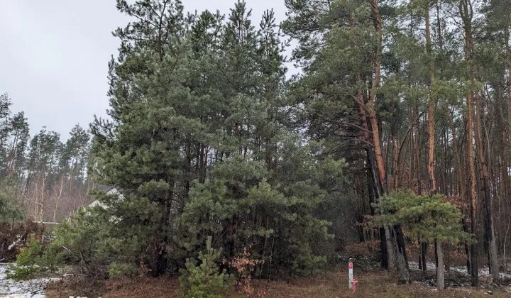 Działka budowlana Rzeczyca, ul. Gościniec