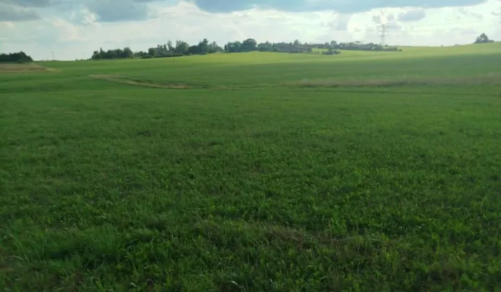 Działka budowlana Poręba, ul. Leszczynowa