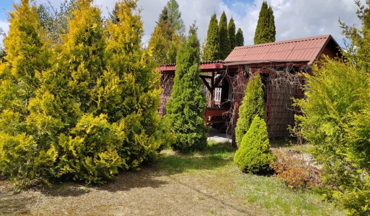 Działka rod Ciechanów