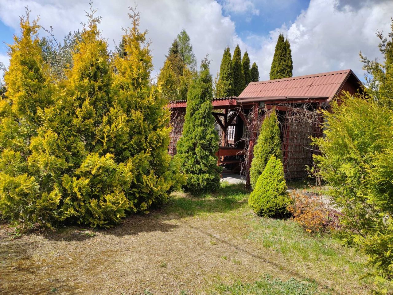 Działka rod Ciechanów. Zdjęcie 1