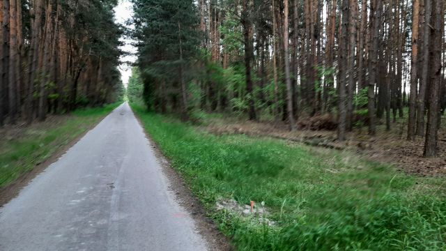 Działka leśna Umianowice Piaski. Zdjęcie 1