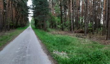 Działka leśna Umianowice Piaski