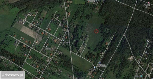 Działka budowlana Opypy, ul. Jałowcowa. Zdjęcie 1