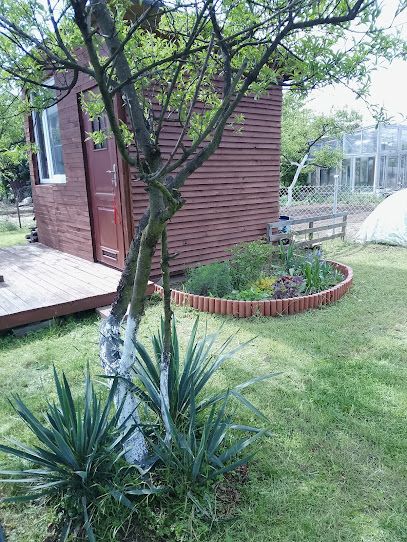 Działka rekreacyjna Głogów