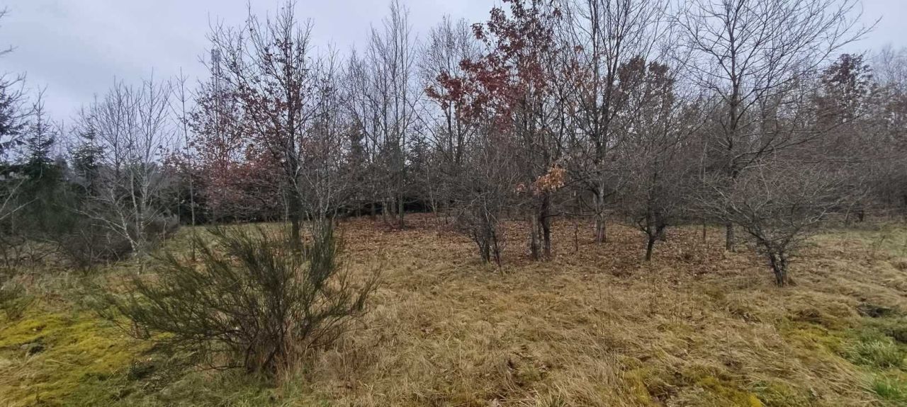 Działka budowlana Gałęzinowo. Zdjęcie 7