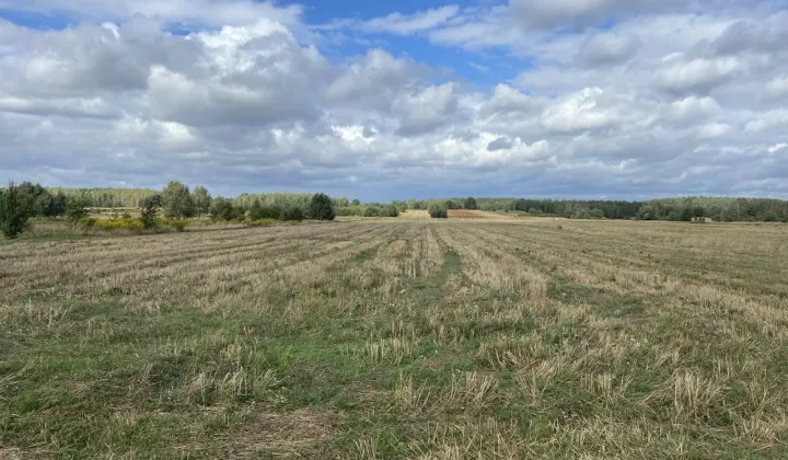 Działka rolna Jagodne