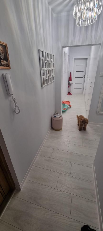 Mieszkanie 2-pokojowe Kłodzko Centrum, ul. Spółdzielcza. Zdjęcie 6