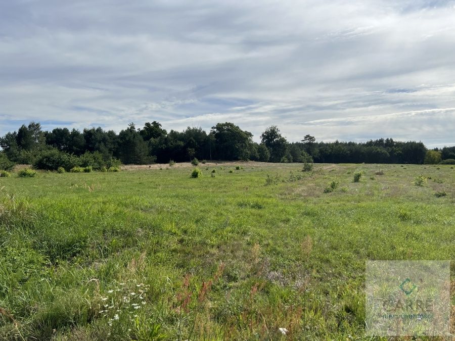 Działka budowlana Uniemyśl. Zdjęcie 4