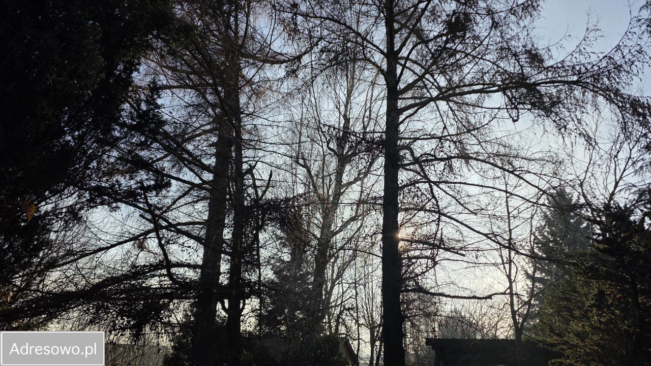 Działka budowlana Pszczyna, ul. Narcyzów. Zdjęcie 4