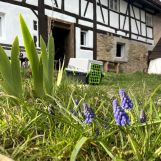 dom wolnostojący, 4 pokoje Jelenia Góra. Zdjęcie 2