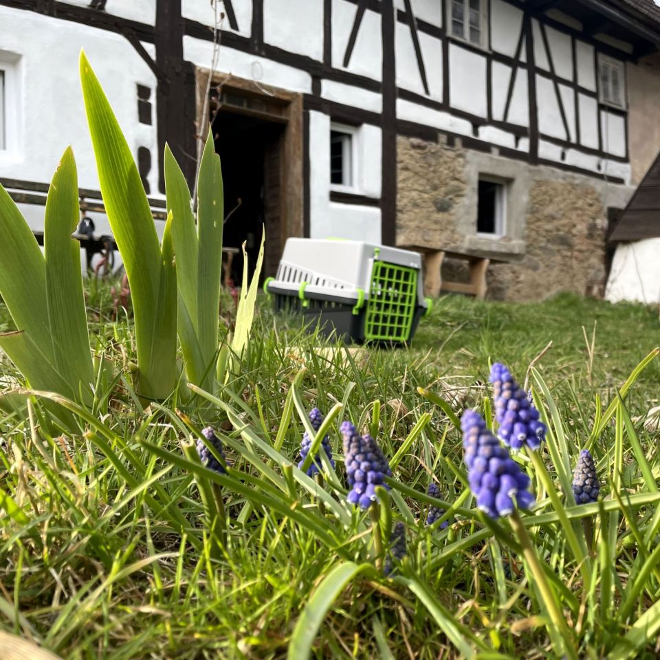 dom wolnostojący, 4 pokoje Jelenia Góra. Zdjęcie 3