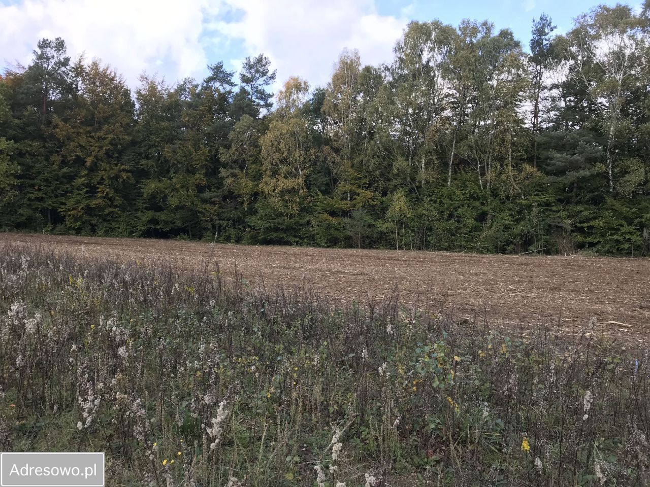 Działka budowlana Kochanowo, ul. Leśna. Zdjęcie 3