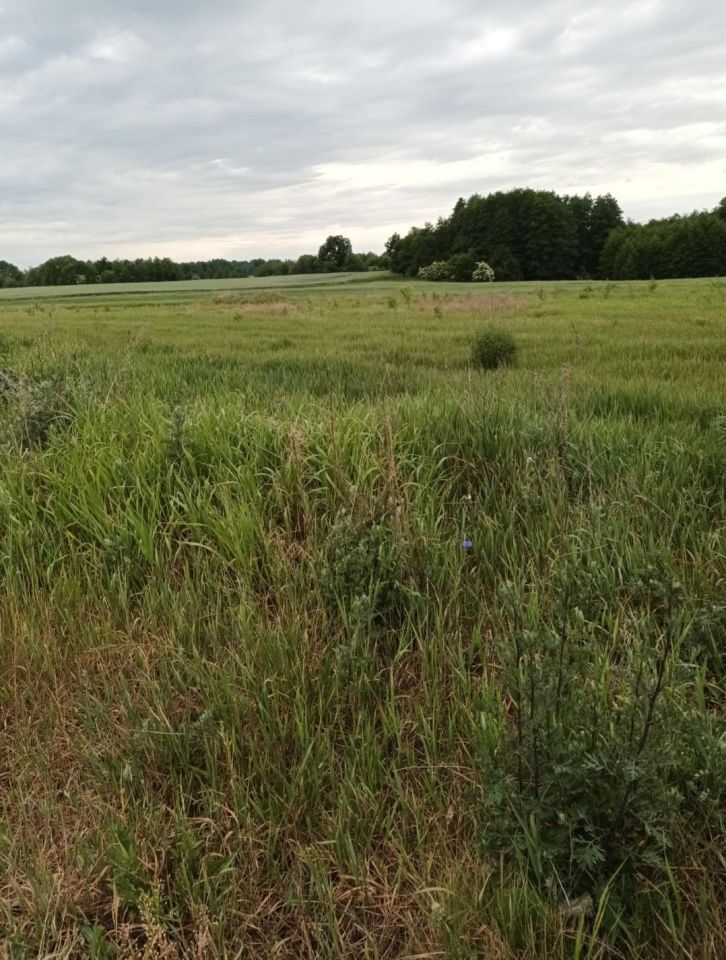 Działka budowlana Wirwilty. Zdjęcie 5