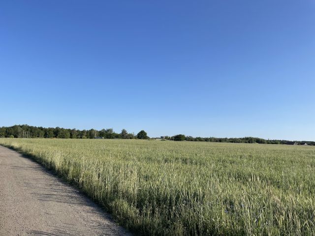 Działka inwestycyjna Prusice, ul. Polna. Zdjęcie 1