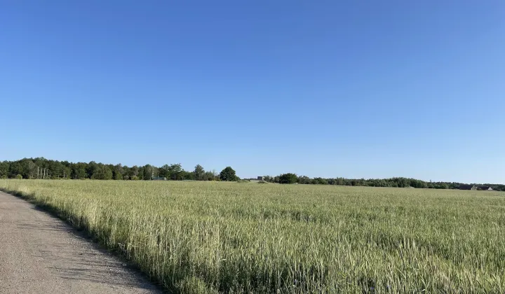 Działka inwestycyjna Prusice, ul. Polna