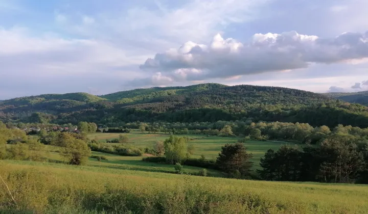 Działka rekreacyjna Rybotycze