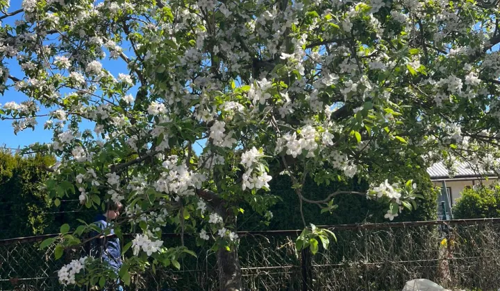 Działka rod Kołobrzeg, ul. 6 Dywizji Piechoty