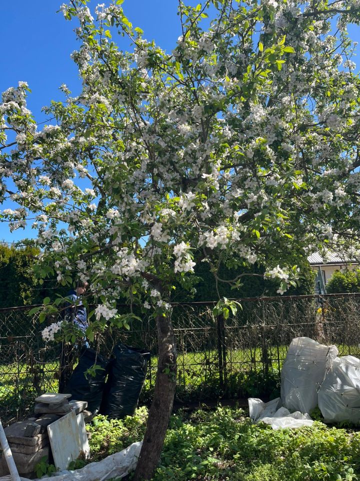 Działka rod Kołobrzeg, ul. 6 Dywizji Piechoty