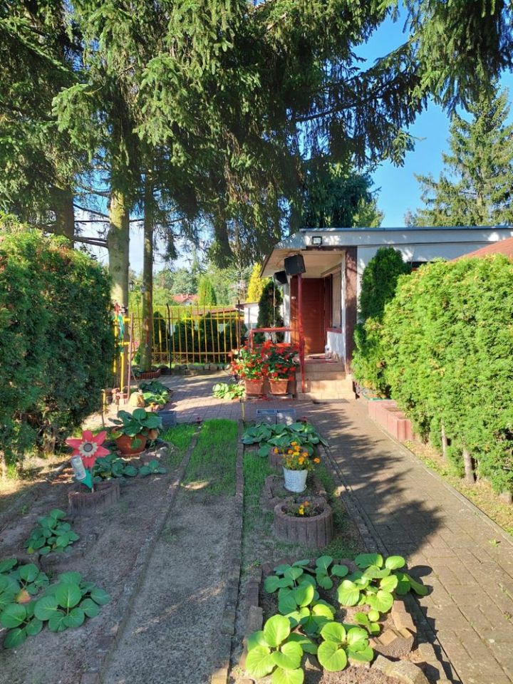 Działka rekreacyjna Solec Kujawski. Zdjęcie 8